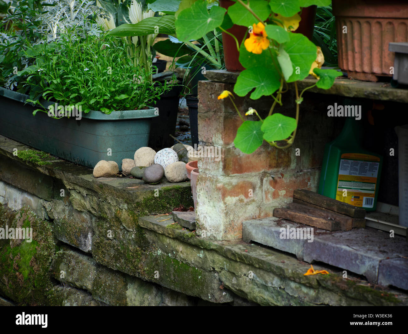 Fokus auf dekorative Steine warten in der Laienhaften kleine Holding Garten auf 900 ft platziert werden Stockfoto