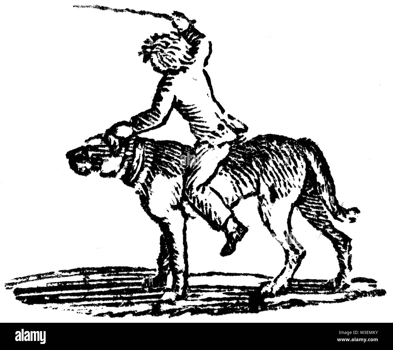 Pastorale Saitenhalter. Holz graviert Abbildung von 'Thomas Bewick' eine allgemeine Geschichte der Vierbeiner', von T.Bewick, Longman und C veröffentlichten Stockfoto