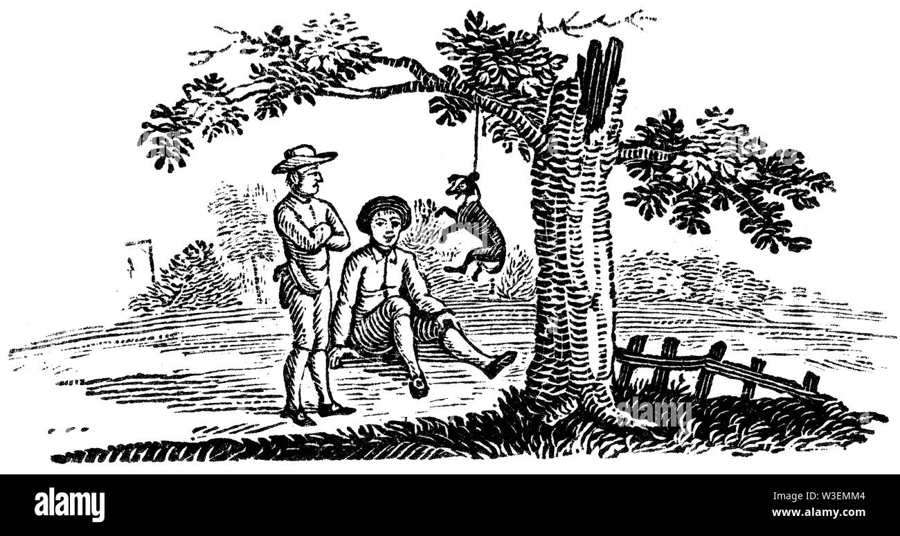 Pastorale Saitenhalter. Holz graviert Abbildung von 'Thomas Bewick' eine allgemeine Geschichte der Vierbeiner', von T.Bewick, Longman und C veröffentlichten Stockfoto