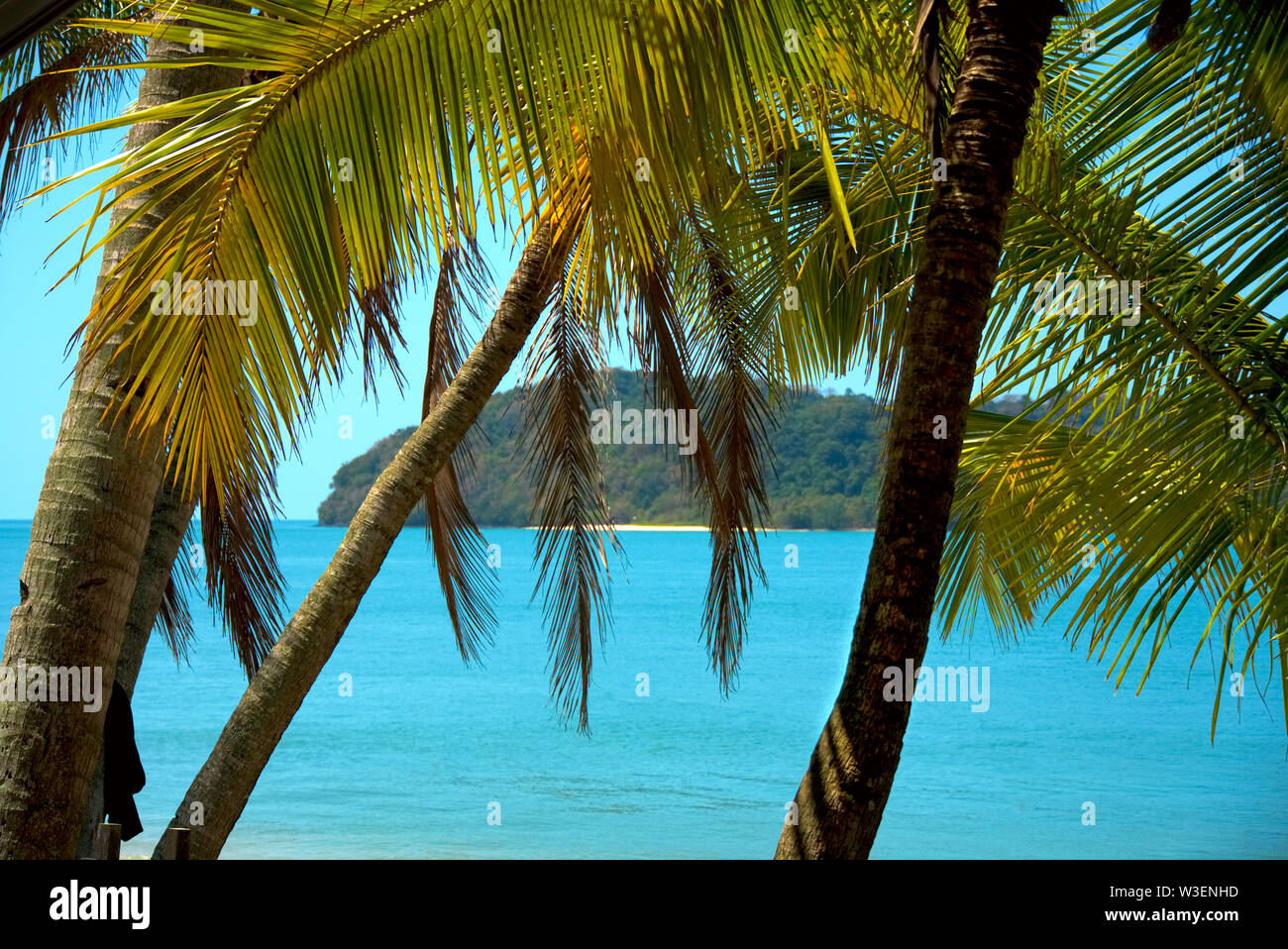 Strand mit Palmen auf Langkawi Stockfoto