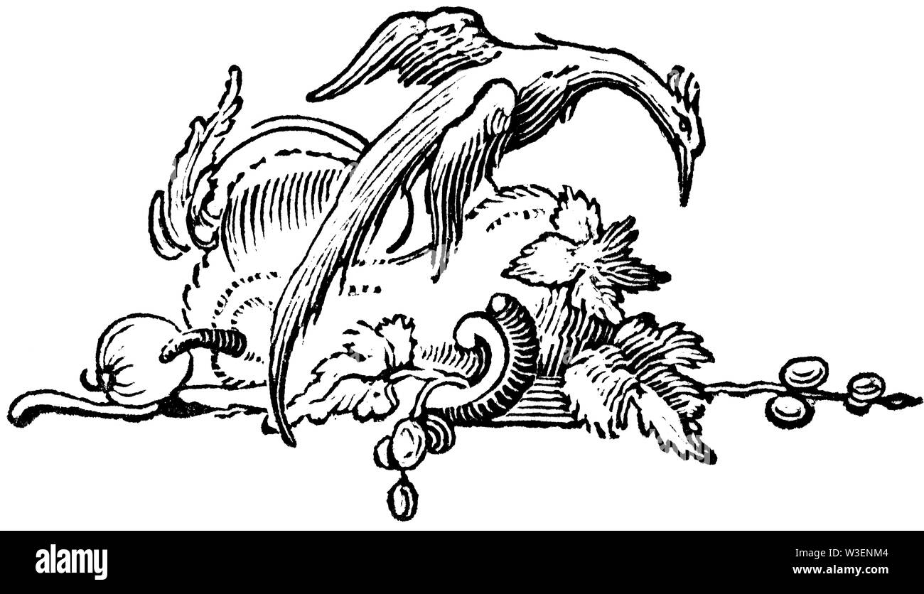 Holz graviert Illustration; von 'Thomas Bewick' eine allgemeine Geschichte der Vierbeiner'; durch T veröffentlicht; Bewick; Longman und Co; Gedruckt von Edward Stockfoto