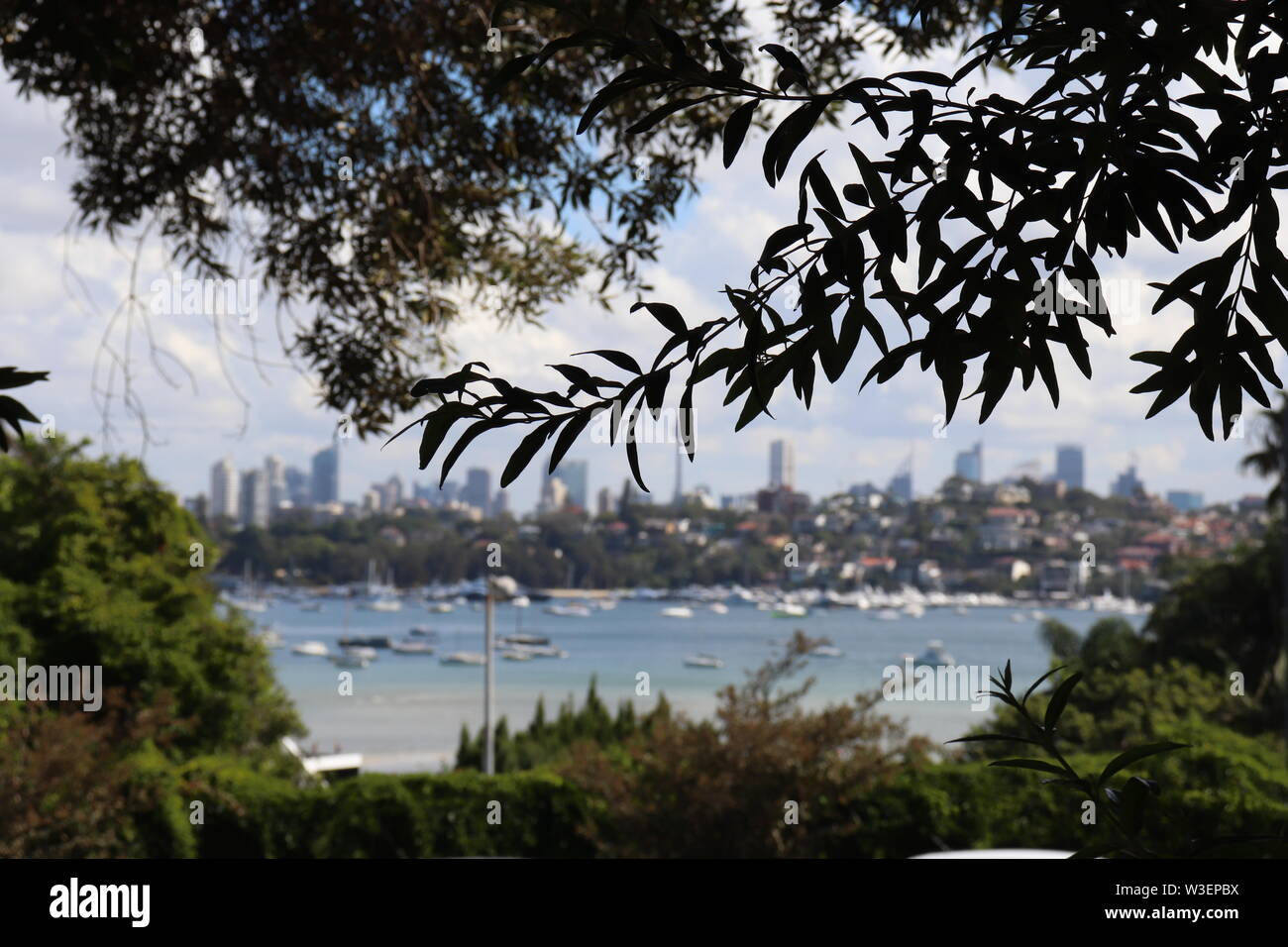 Sydney Harbour und die Stadt. Stockfoto