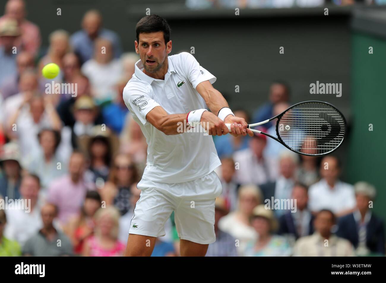 NOVAK DJOKOVIC, der Endrunde DER HERREN SINGLES, 2019 Stockfoto