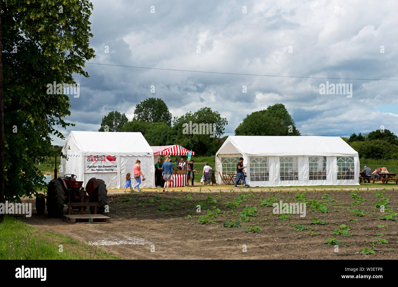 Ihr eigenes Obst und Gemüse zu Scalby Grange Farm, Gilberdyke, East Yorkshire, England UK Pick Stockfoto