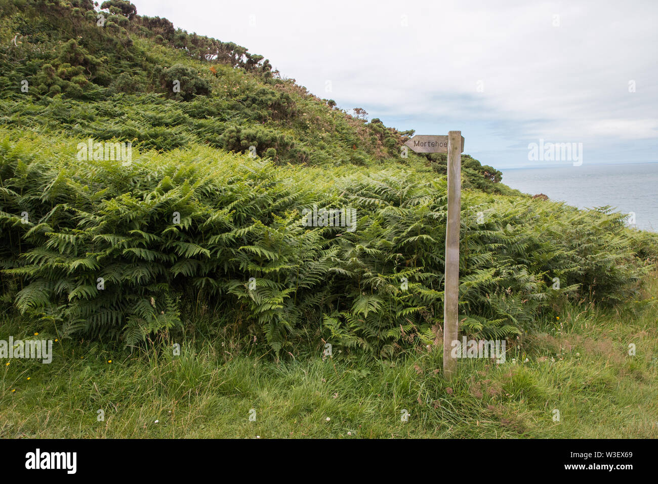 Noth devon Südküste Weg Stockfoto