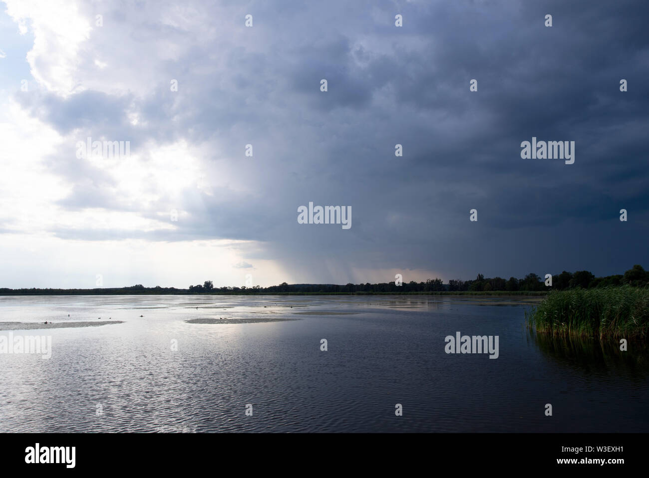 Trebbin, Deutschland. 13. Juli, 2019. Dunkle Gewitterwolken fegen über Blankensee im Naturpark Nuthe-Nieplitz. Besonders im Herbst, Naturliebhaber können zahlreiche Vogelarten, die im Schilf beobachten am Ufer des Bohlensteg. Credit: Monika Skolimowska/dpa-Zentralbild/ZB/dpa/Alamy leben Nachrichten Stockfoto