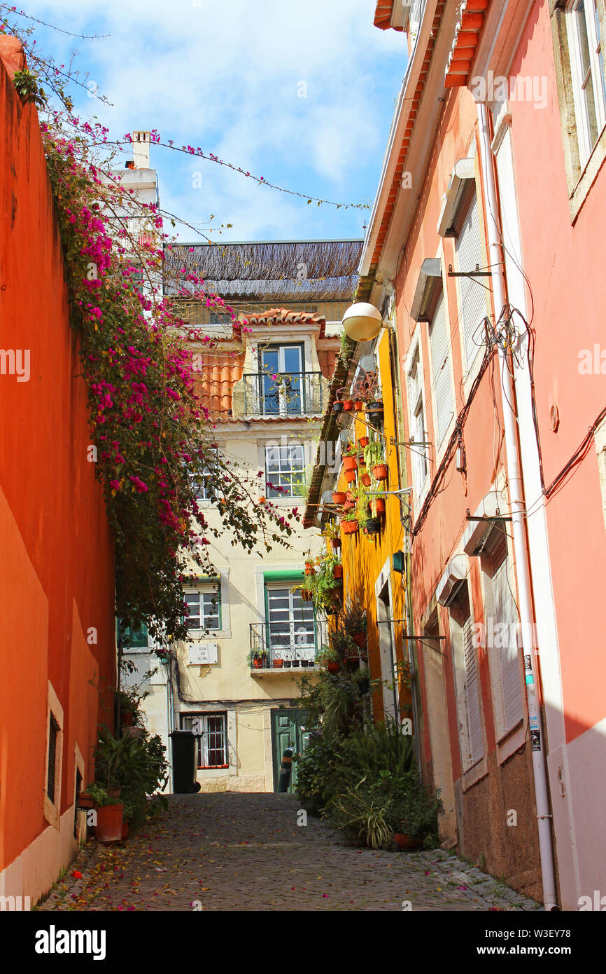 Bunte Straße in Lissabon Stockfoto