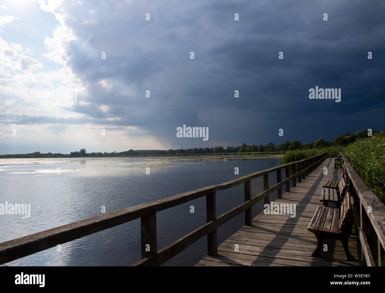 Trebbin, Deutschland. 13. Juli, 2019. Dunkle Gewitterwolken über den Bohlensteg am Blankensee im Naturpark Nuthe-Nieplitz. Besonders im Herbst, Naturliebhaber können zahlreiche Vogelarten, die im Schilf beobachten am Ufer des Bohlensteg. Credit: Monika Skolimowska/dpa-Zentralbild/ZB/dpa/Alamy leben Nachrichten Stockfoto