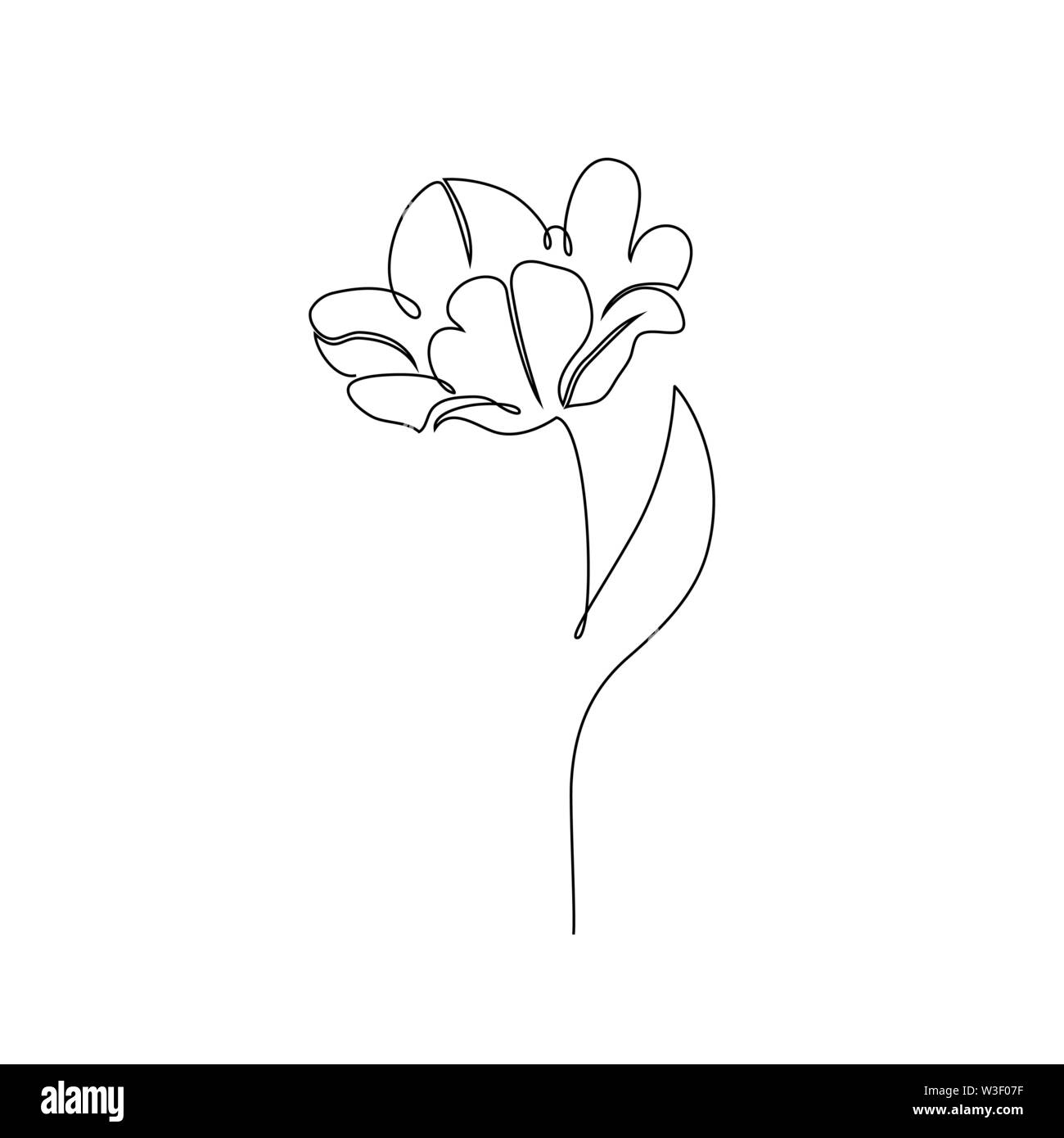 Tulpe Blume auf weißem Hintergrund. Eine Zeichnung Stil. Stock Vektor