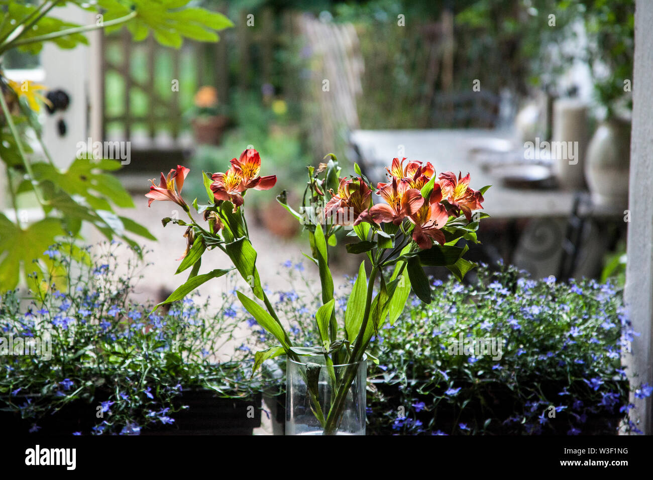 Britische garten Szene, hölzerne Tor, Tisch und Stühle, Stockfoto
