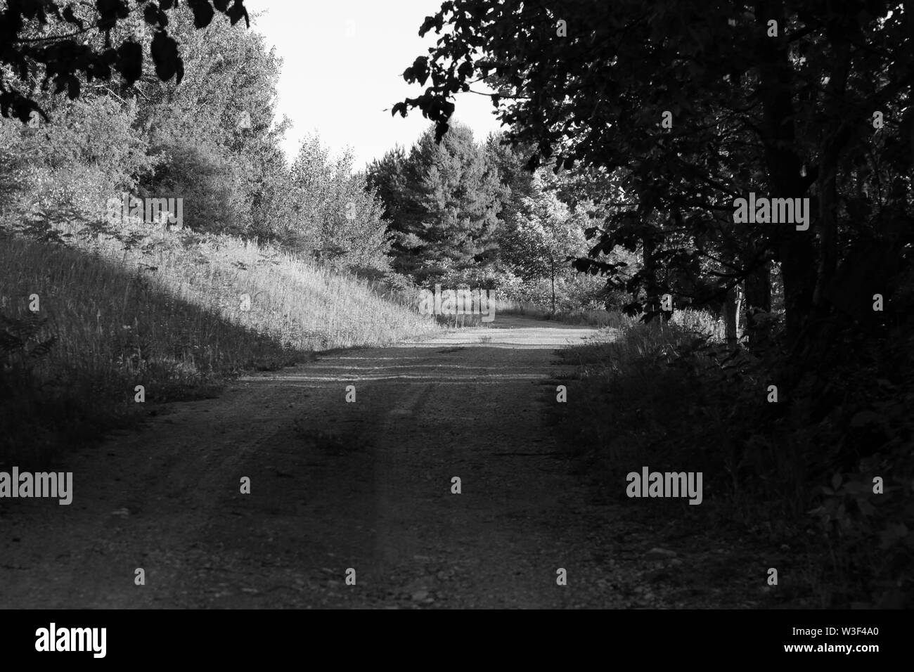 Ein Schuß nahm ich während meiner Jahre als professioneller Fotograf. Ich bin jetzt ein Thema. Wenn Sie sehr heftig Sci-Fi Horror lieber Siehe: http://getbook.at/LHOU2 Stockfoto