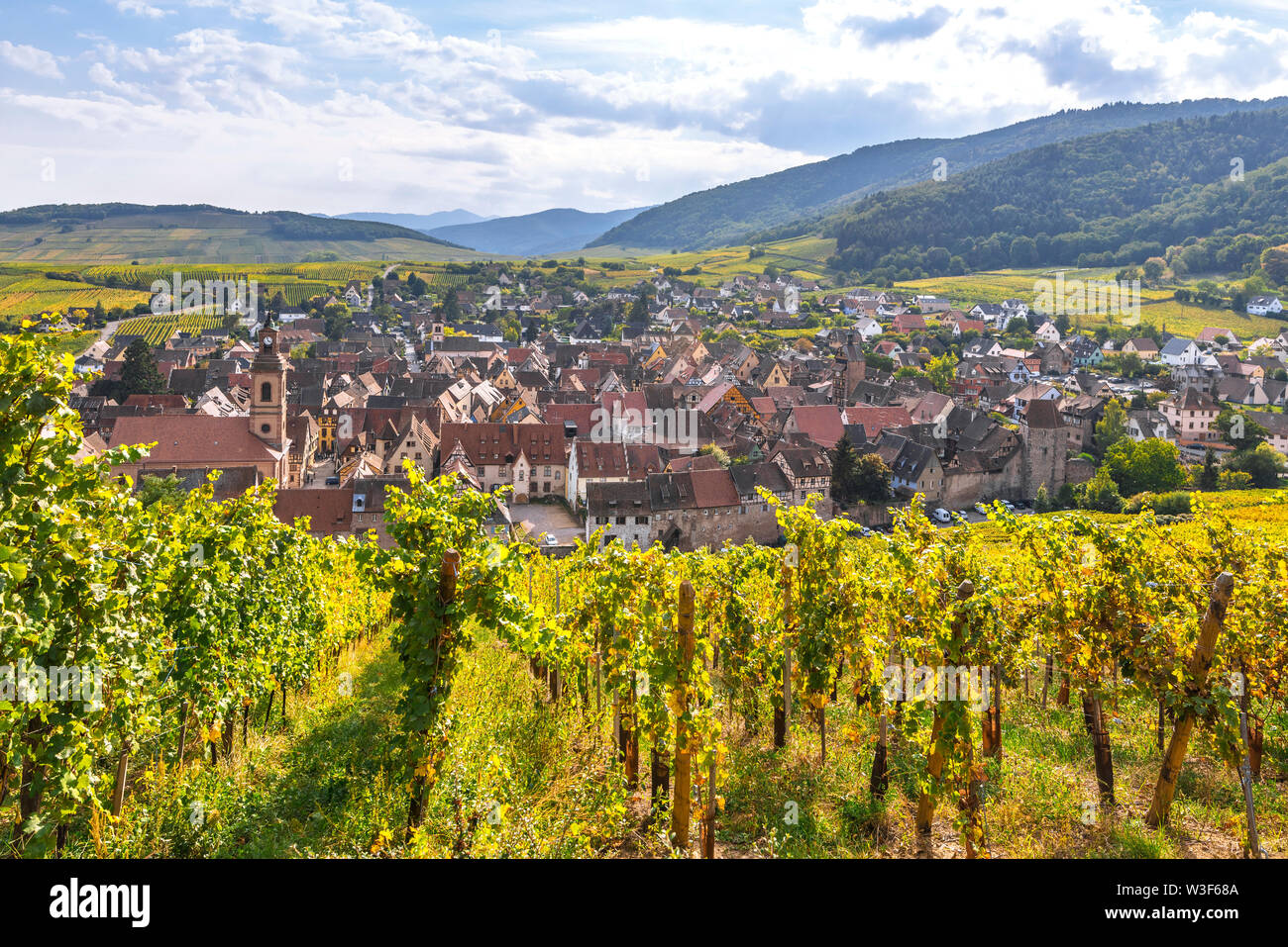 Panorama von weindorf Riquewihr, Alsace, France, das Dorf und die Hügel mit Weinbergen von oben gesehen Stockfoto