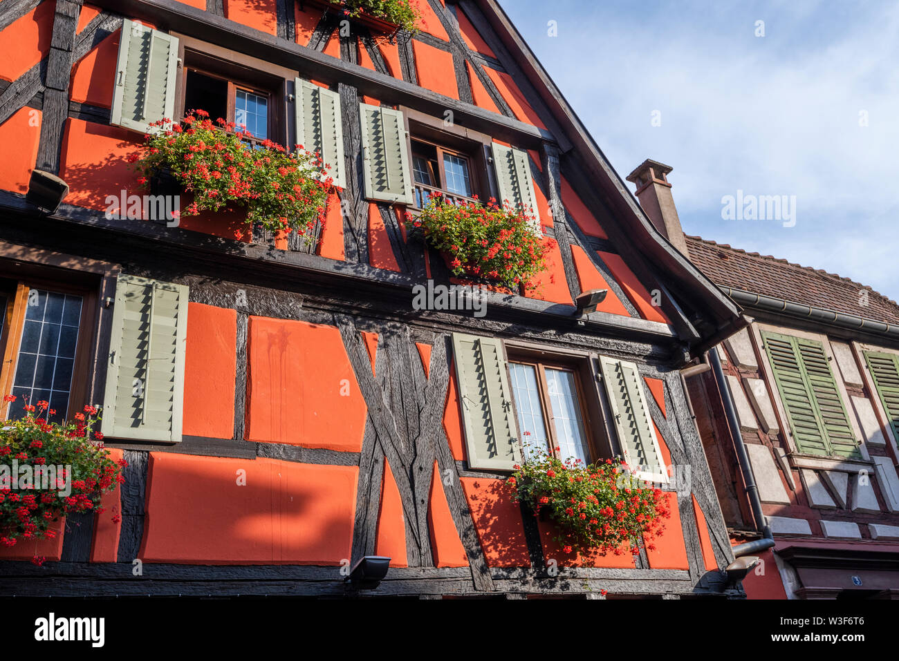 Bunte Fachwerkhäuser von Ribeauvillé, Elsass, Frankreich, rote Haus mit Blumenschmuck Stockfoto