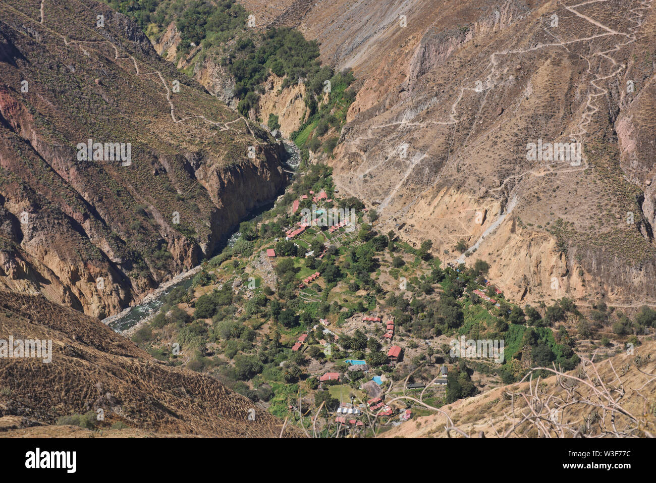 Sangalle Oase im Colca Canyon, Peru Stockfoto