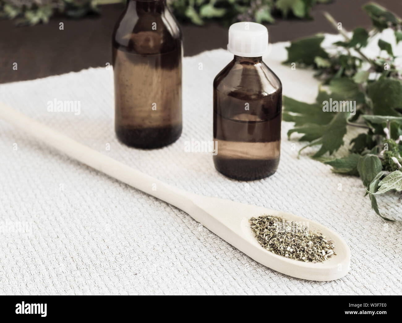Wertvolle Heilpflanze - motherwort mit Blumen und Blätter auf einem weißen Hintergrund. Als nächstes kommt die Pflanze in getrockneten und zerkleinerten Form für die Vorbereitung Stockfoto