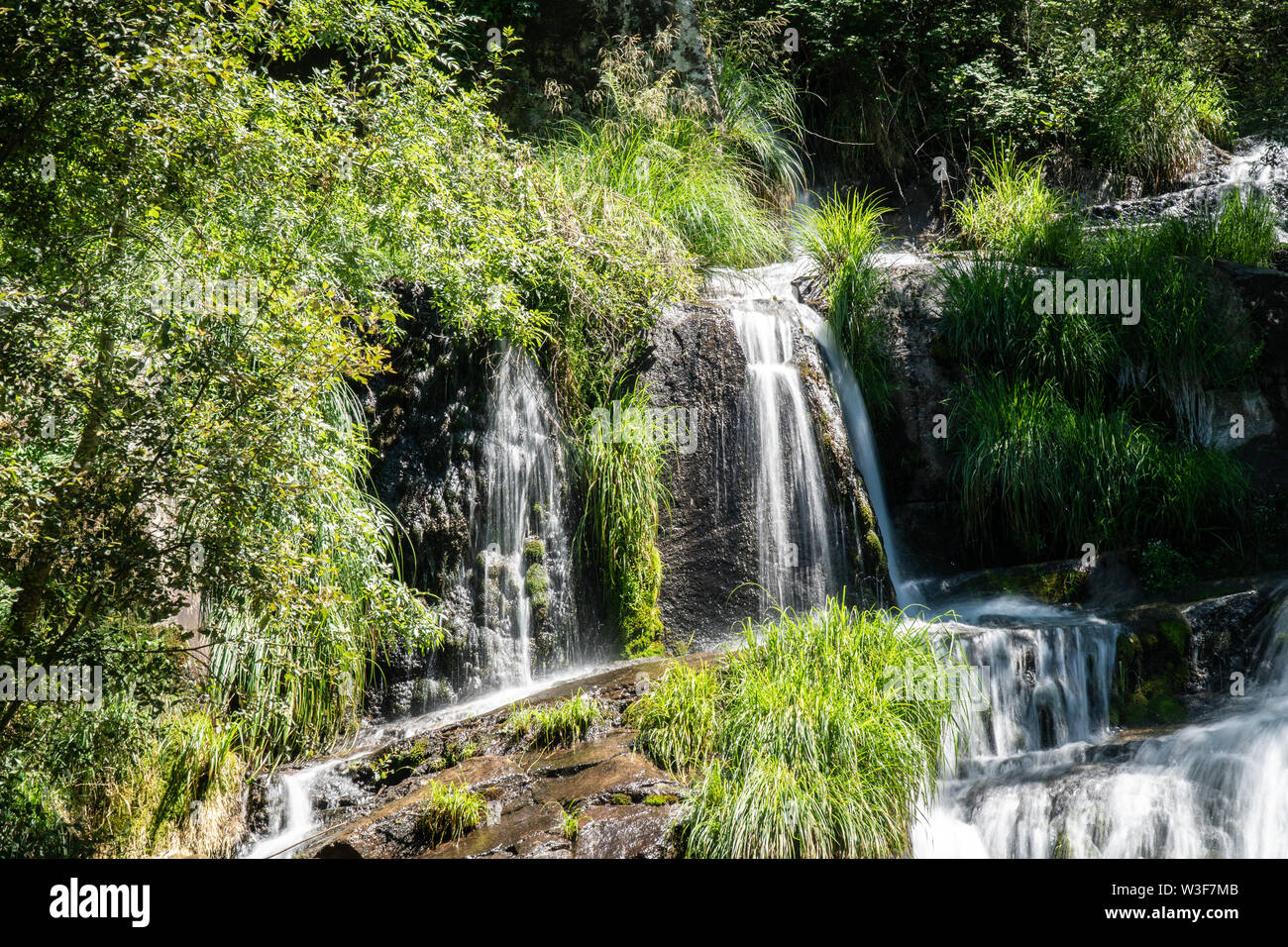 Wald river Wasserfall auf Frühling. Nahaufnahme Stockfoto