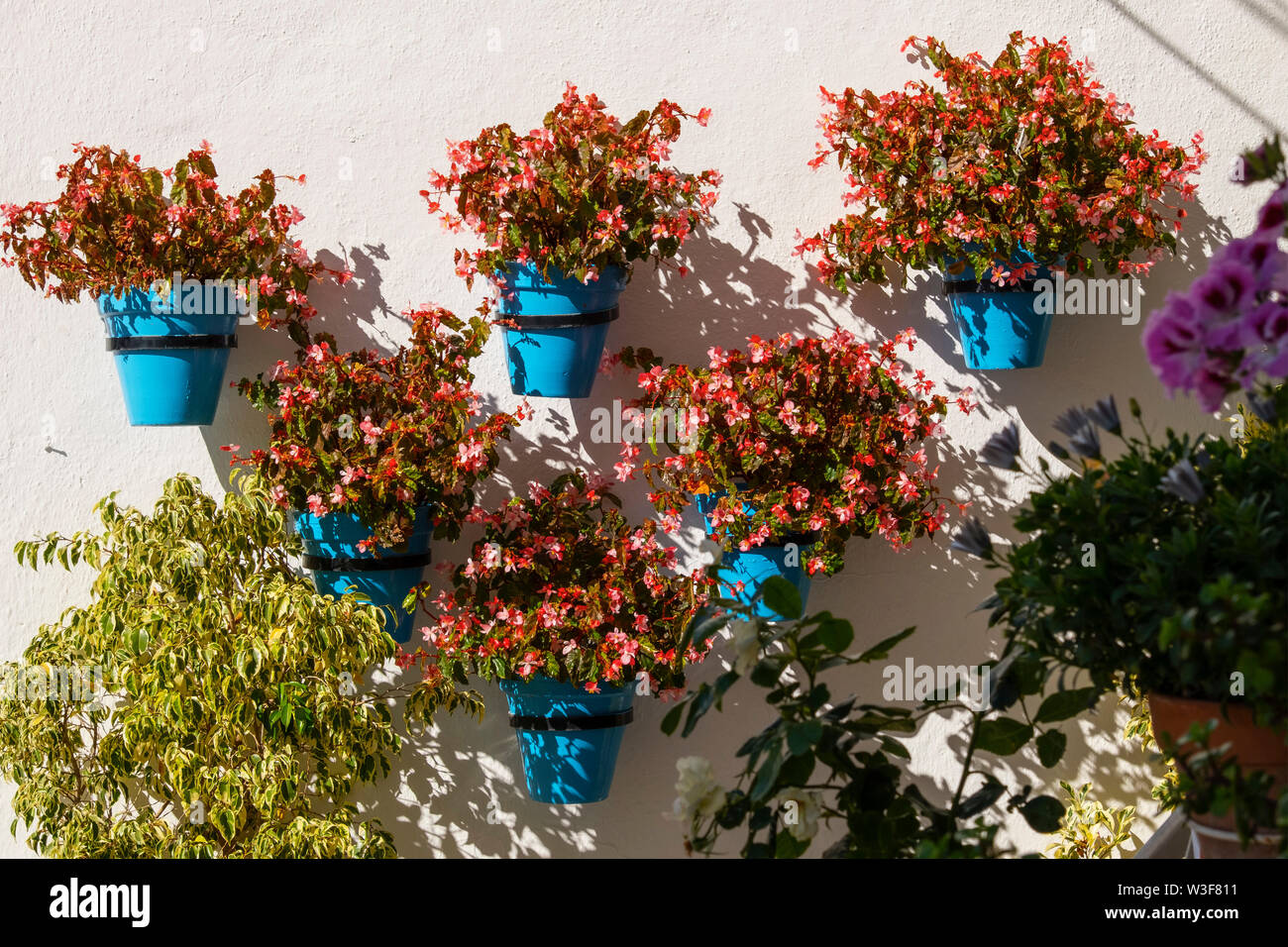 Typische Straße mit Blumen, weißen Dorf Mijas. Provinz Malaga an der Costa del Sol. Andalusien, Süd Spanien Europa Stockfoto