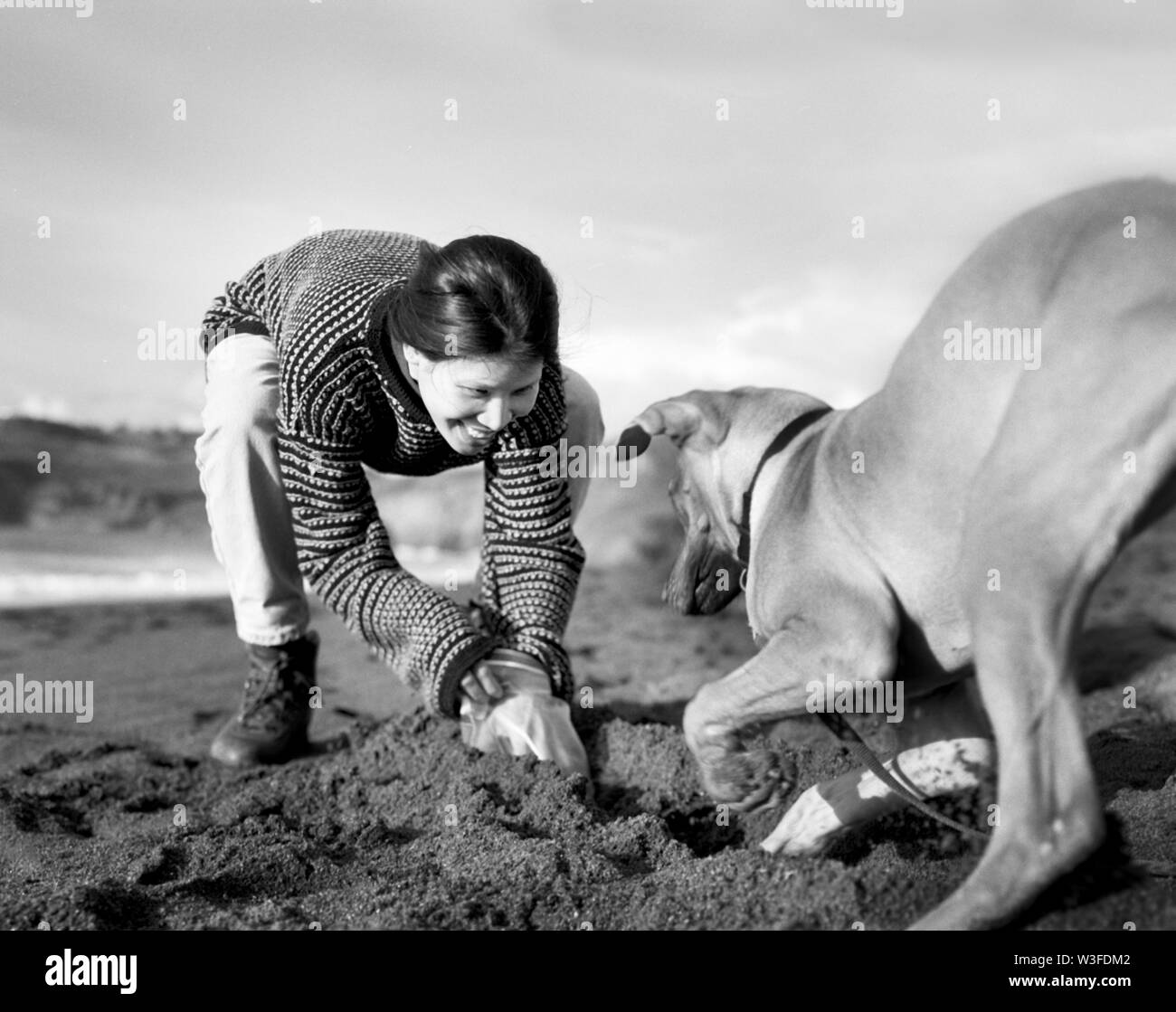 Mitte der erwachsenen Frau glücklich spielen mit Hund draußen. Stockfoto