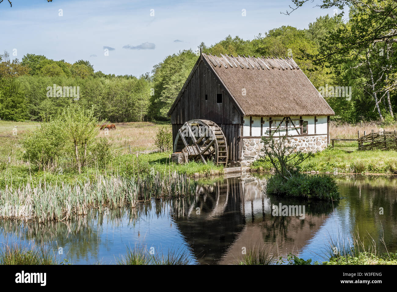 Alte Wassermühle in einer Agrarlandschaft am Kulturens Östarp, eine echte Open Air Museum in Blenterp, Schweden, 21. Mai 2019 Stockfoto
