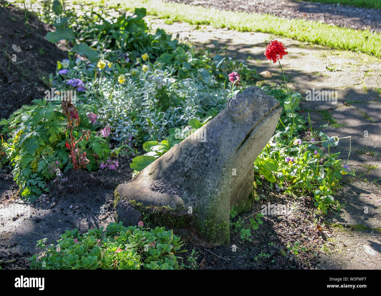 Die steinerne Kröte sitzt im Garten inmitten von Blumen und anderen Pflanzen. Die Blüten sind blau, gelb und rot. Das Gras ist grün. Die Sonne scheint. Stockfoto