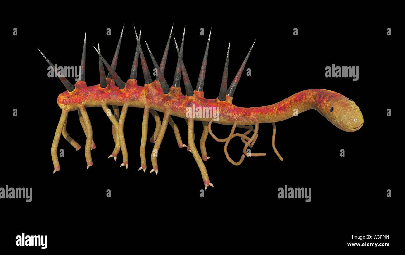 Hallucigenia, prähistorische aquatische Tierarten aus der Cambrian Zeitraum isoliert auf schwarzen Hintergrund (3d Wissenschaft Abbildung) Stockfoto
