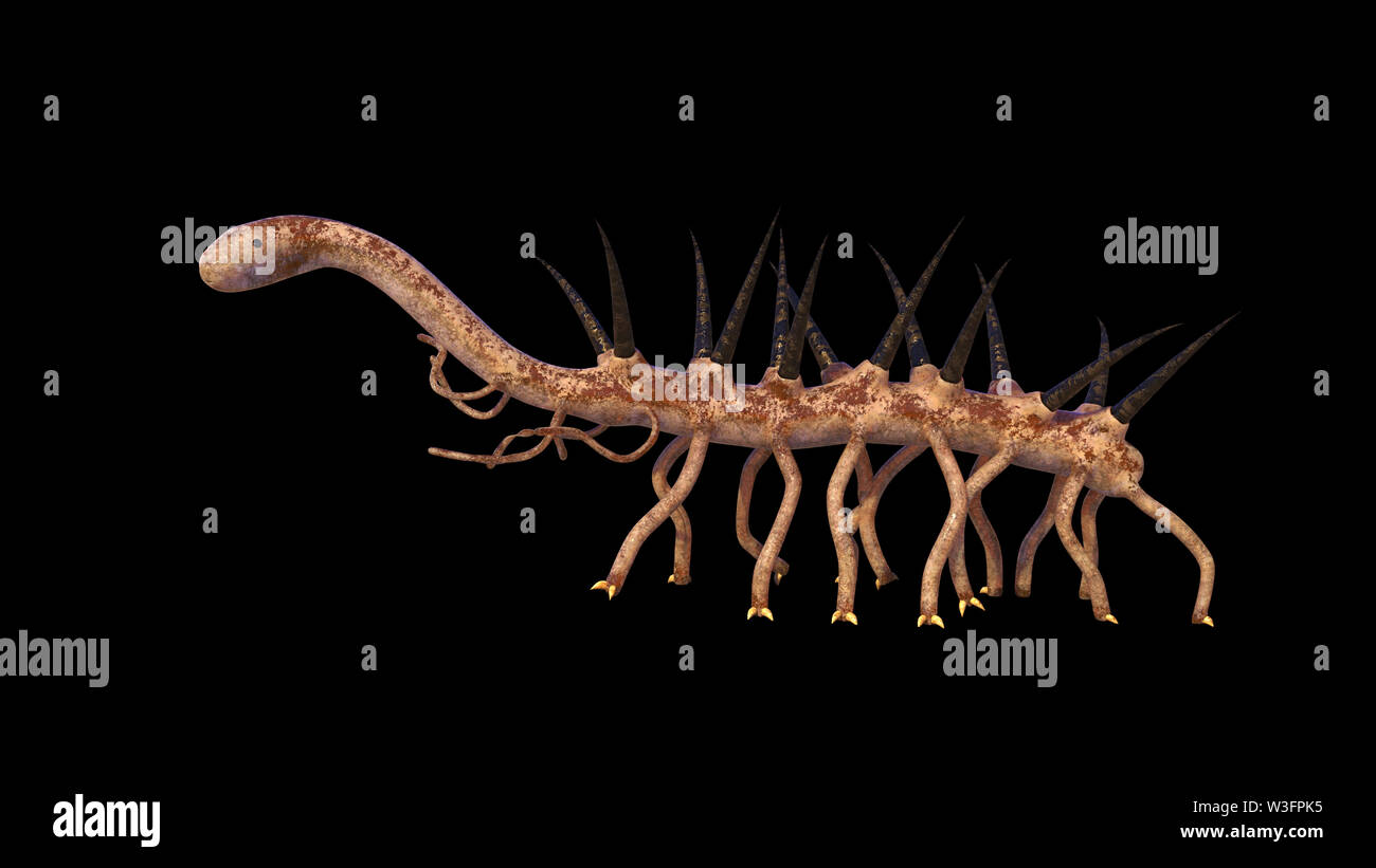 Hallucigenia, prähistorische aquatische Tierarten aus der Cambrian Zeitraum isoliert auf schwarzen Hintergrund (3d Wissenschaft rendering) Stockfoto