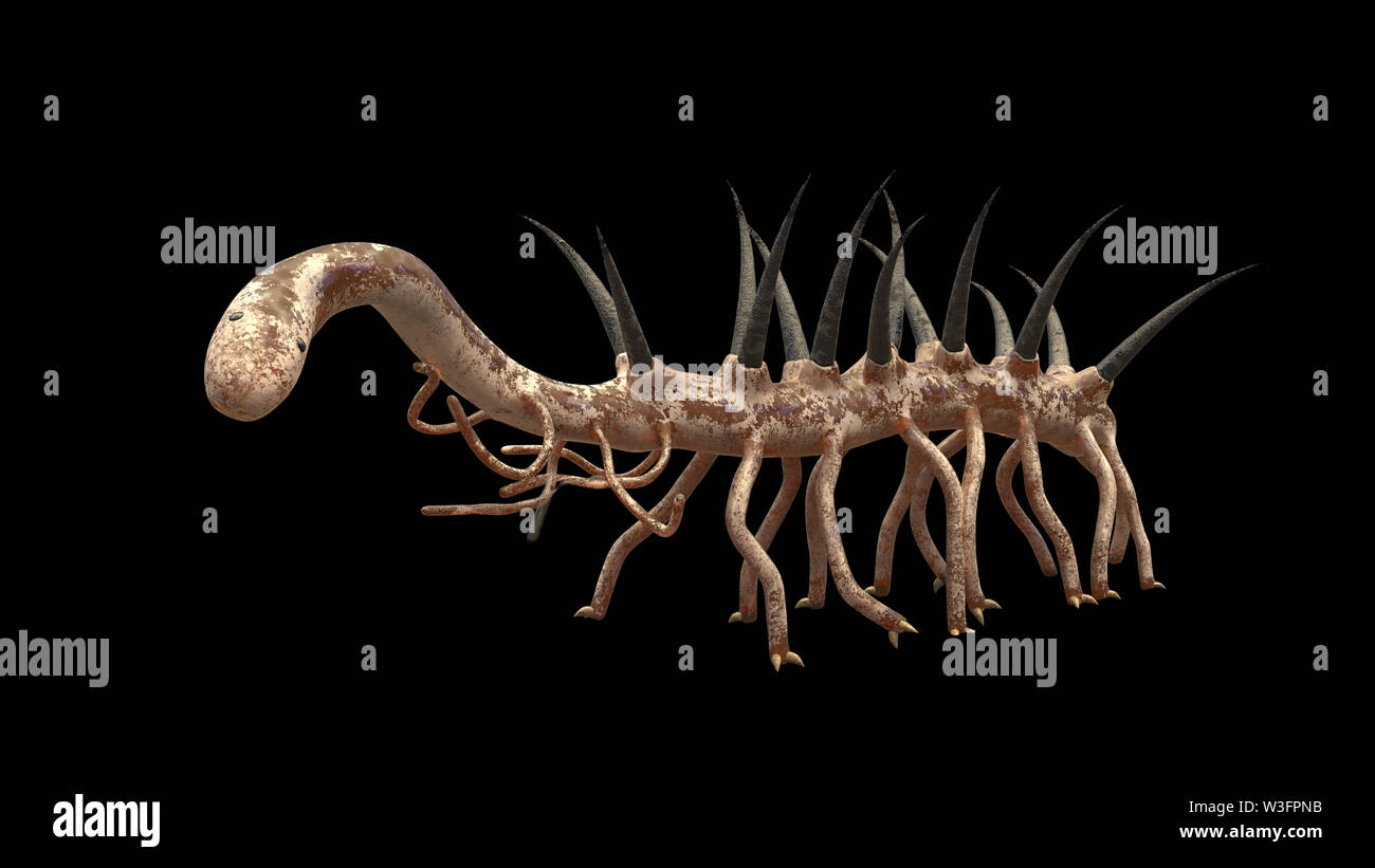 Hallucigenia, prähistorische aquatische Tierarten aus der Cambrian Zeitraum isoliert auf schwarzen Hintergrund (3d paleoart Abbildung) Stockfoto