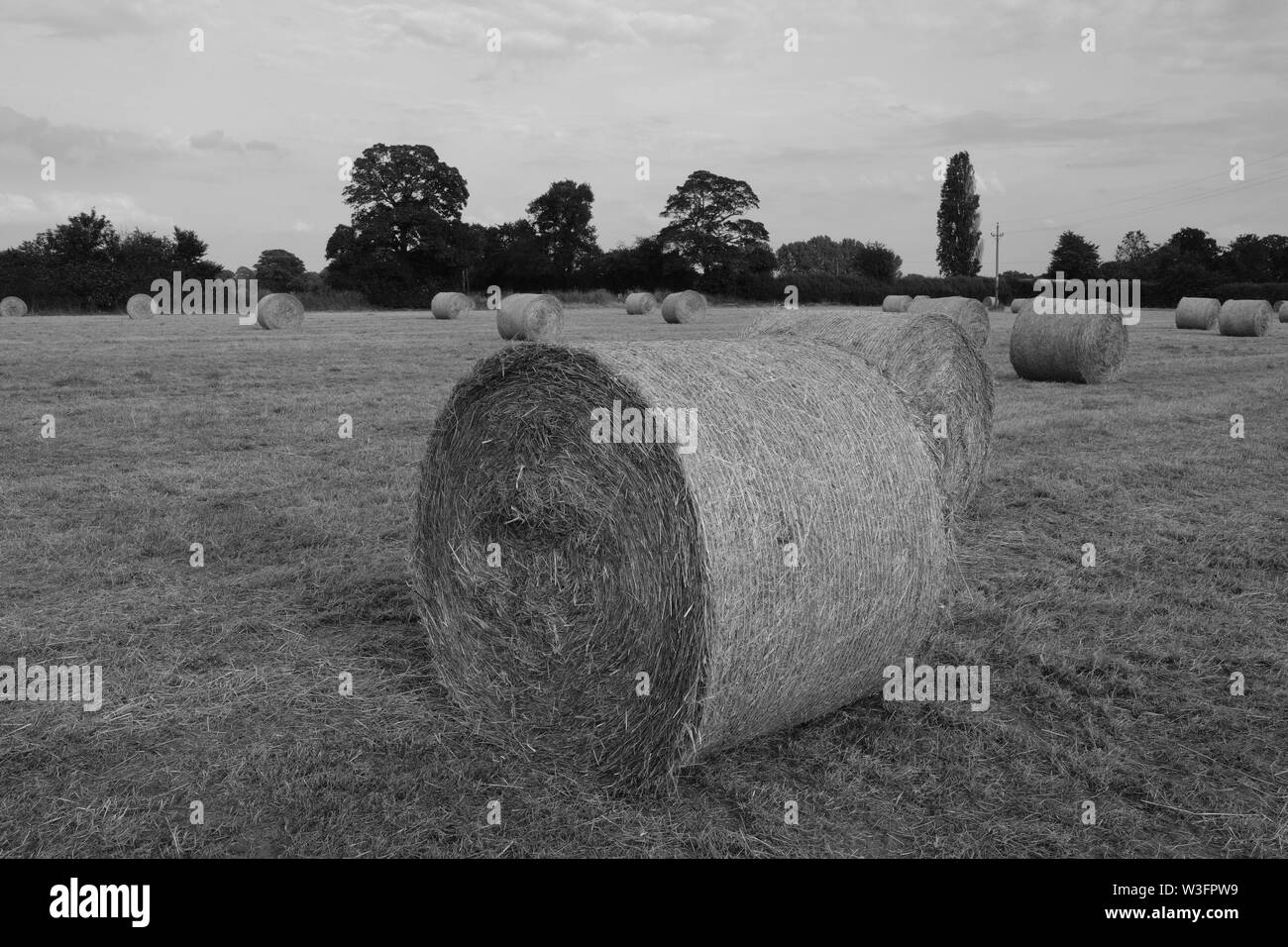 Heu machen, Große Rundballen Cheshire Farm. Stockfoto