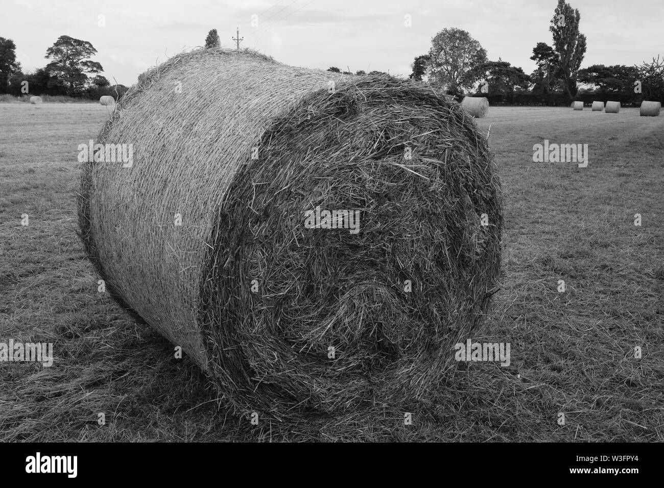 Heu machen, Große Rundballen Cheshire Farm. Stockfoto