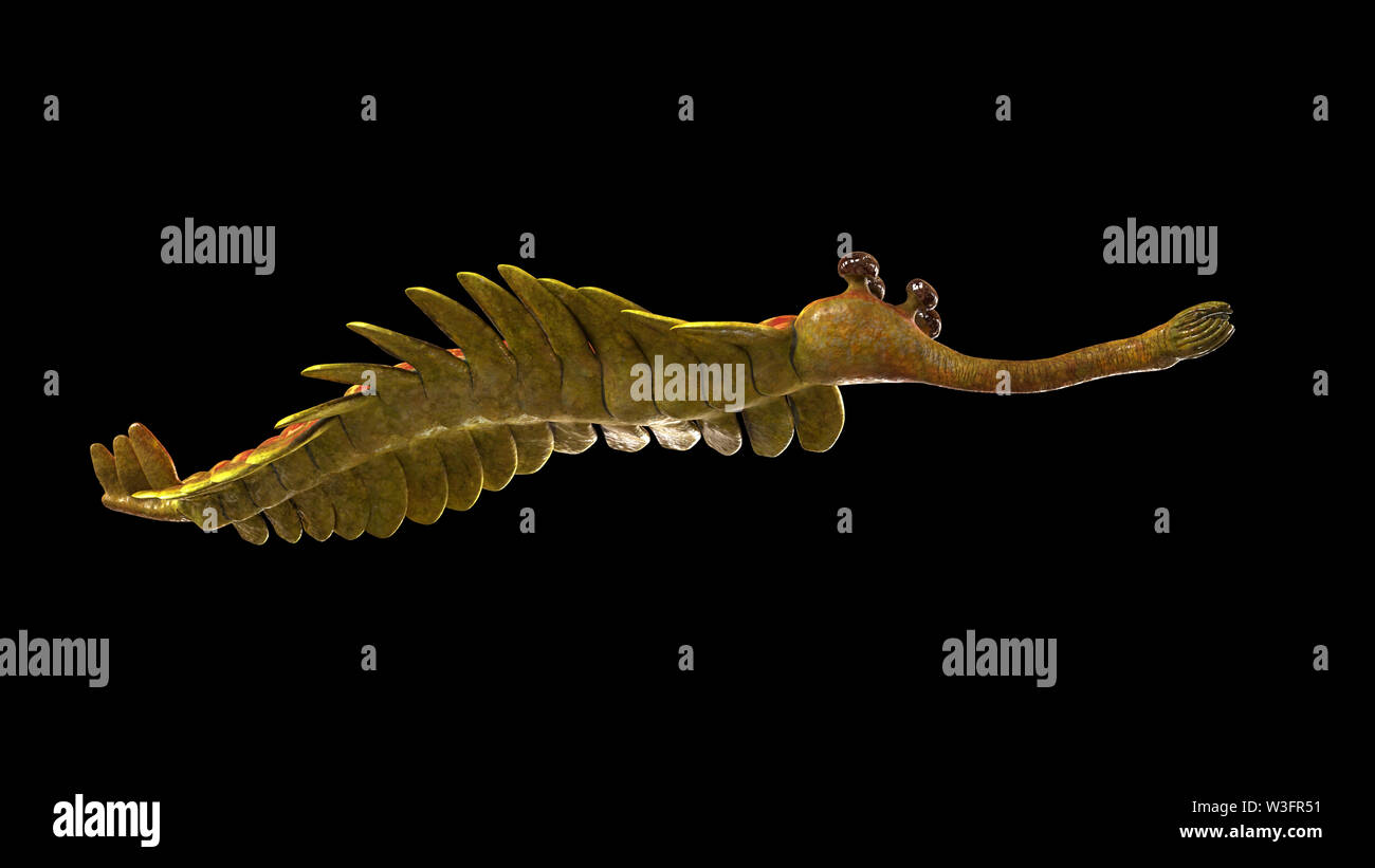 Opabinia regalis, prähistorische marine Tierarten aus der Cambrian Zeitraum isoliert auf schwarzen Hintergrund (3d Wissenschaft Abbildung) Stockfoto