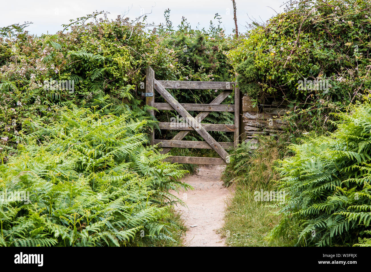 Noth devon Südküste Weg Stockfoto