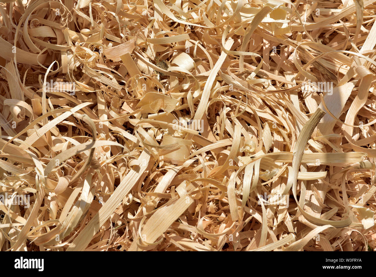 Holz Rasur mit einer drawknife, die schwerer sind als die mit einer Ebene erzeugt werden Stockfoto