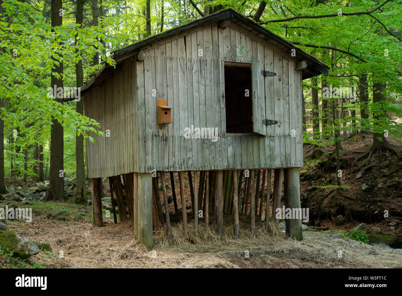 Raufe - helle Holz- struktur für die Fütterung der Tiere (z.b. Hirsche) im Winter im Wald. Stockfoto