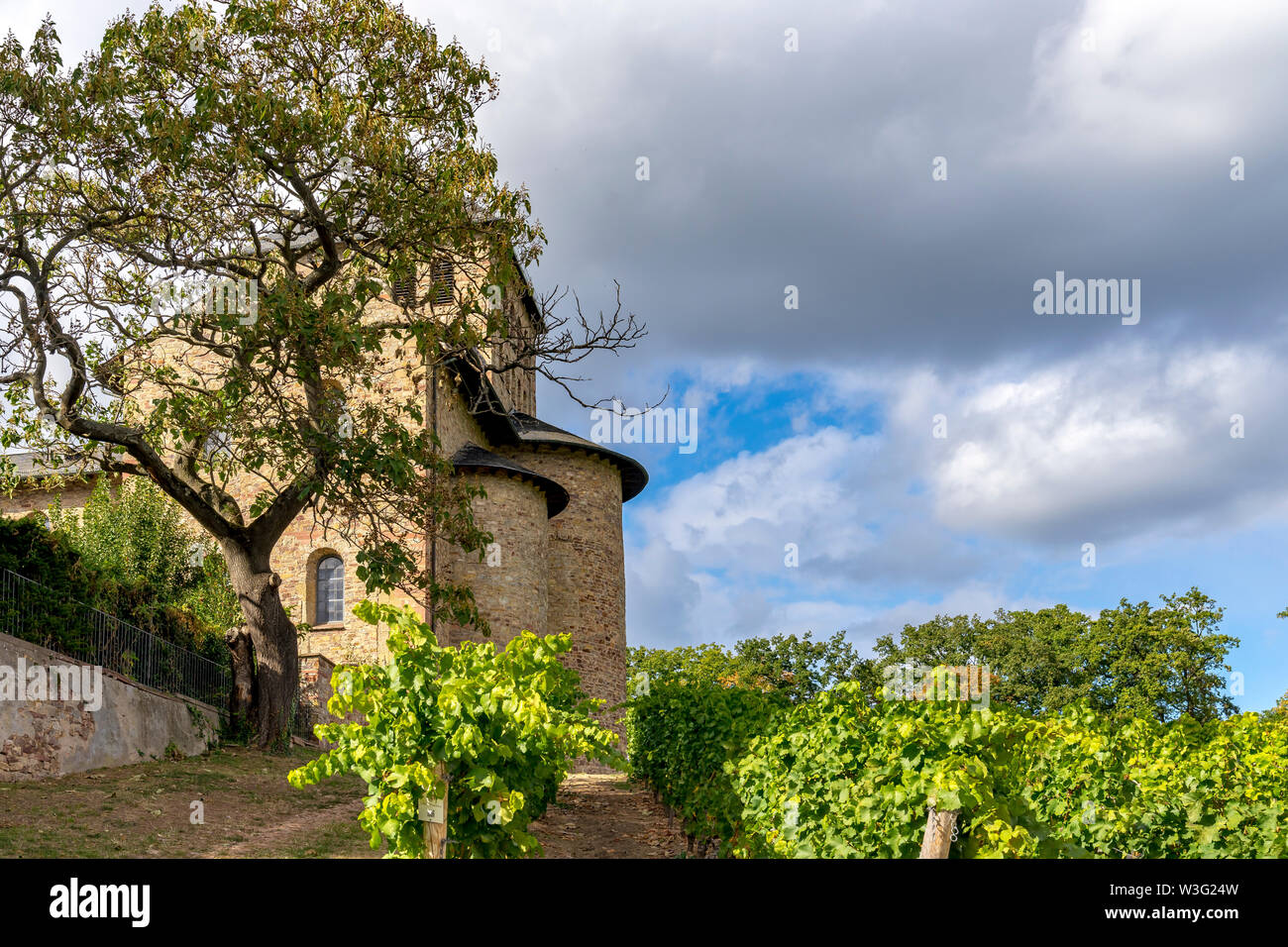 Rüdesheimer Schloss Johannisberg, Deutschland, 01. Oktober 2018: Schloss Schloss Johannisberg Rheingau Stockfoto