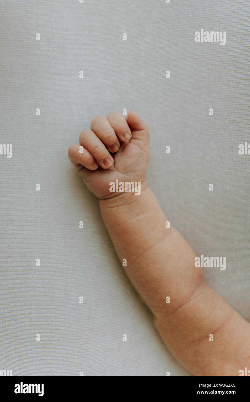 Neugeborene der Hand und des Arms Stockfoto