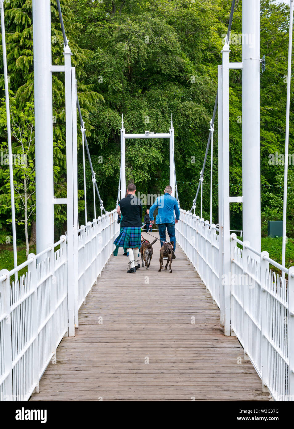 Männer gehen auf den Fluss Ness Bügeleisen Fußgängerbrücke mit Ness Insel mit Mann killt mit Hunden Inverness, Schottland, Großbritannien Stockfoto