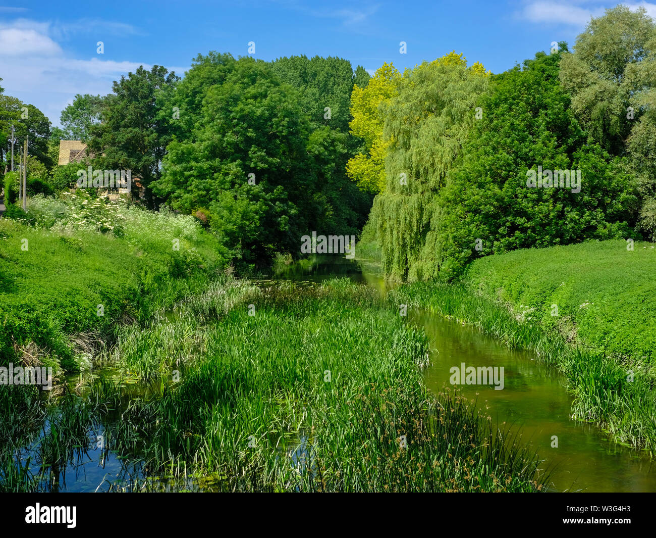 Der Fluss Avon laufen durch das Dorf Lacock, Wiltshire, Großbritannien Stockfoto