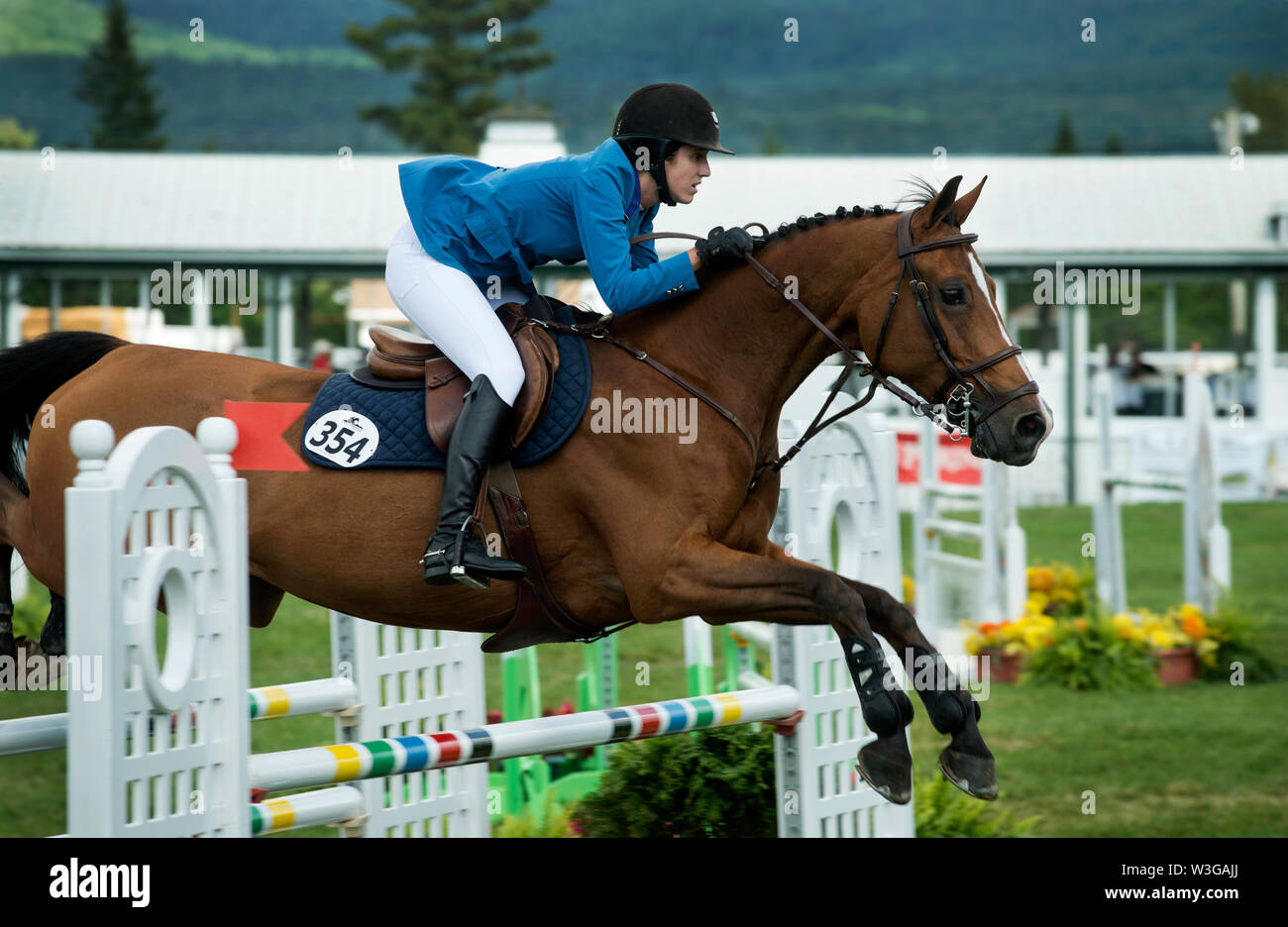 50. jährlichen Lake Placid horse show (ZGS) in Lake Placid, NY, USA. 700 Pferde in der 2019 Jäger und Jumper Wettbewerb in Lake Placid konkurrierten. Stockfoto