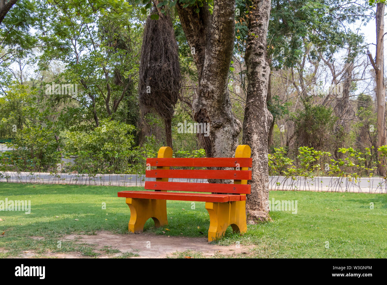 Bemalte roten und gelben Bank im Garten Park unter dem Baum Schatten. Stockfoto