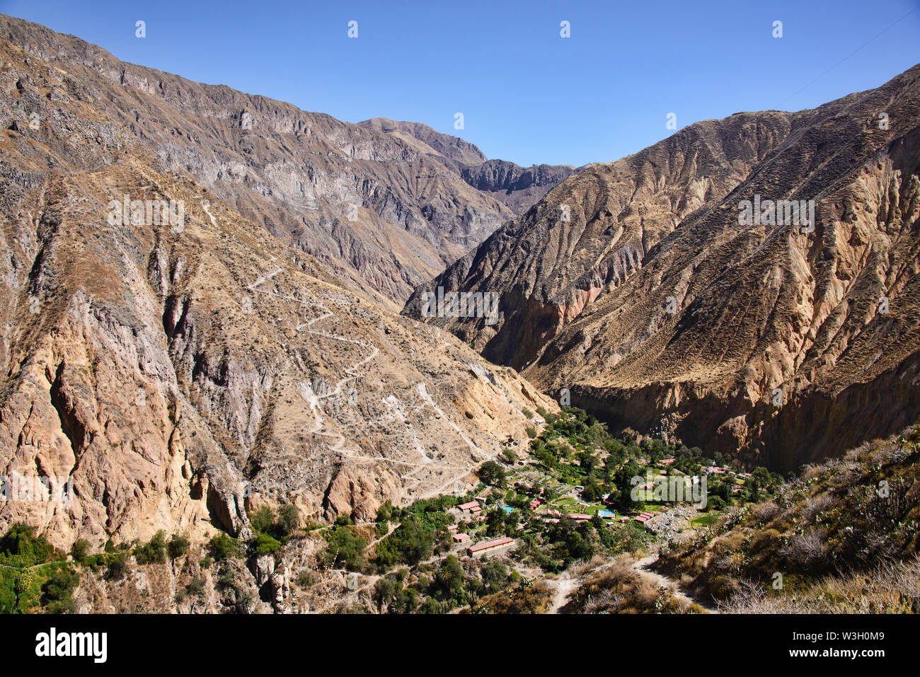 Sangalle Oase im Colca Canyon, Peru Stockfoto