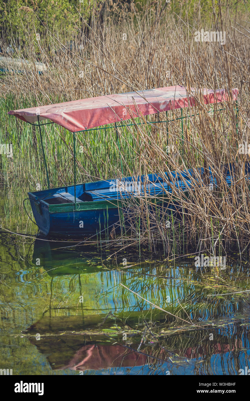 Kleine blaue Holz- Boot verlassen, versteckt und unter hohen günstig hetzt, um die Ufer des Ohridsees, Republik Mazedonien wachsende Stockfoto