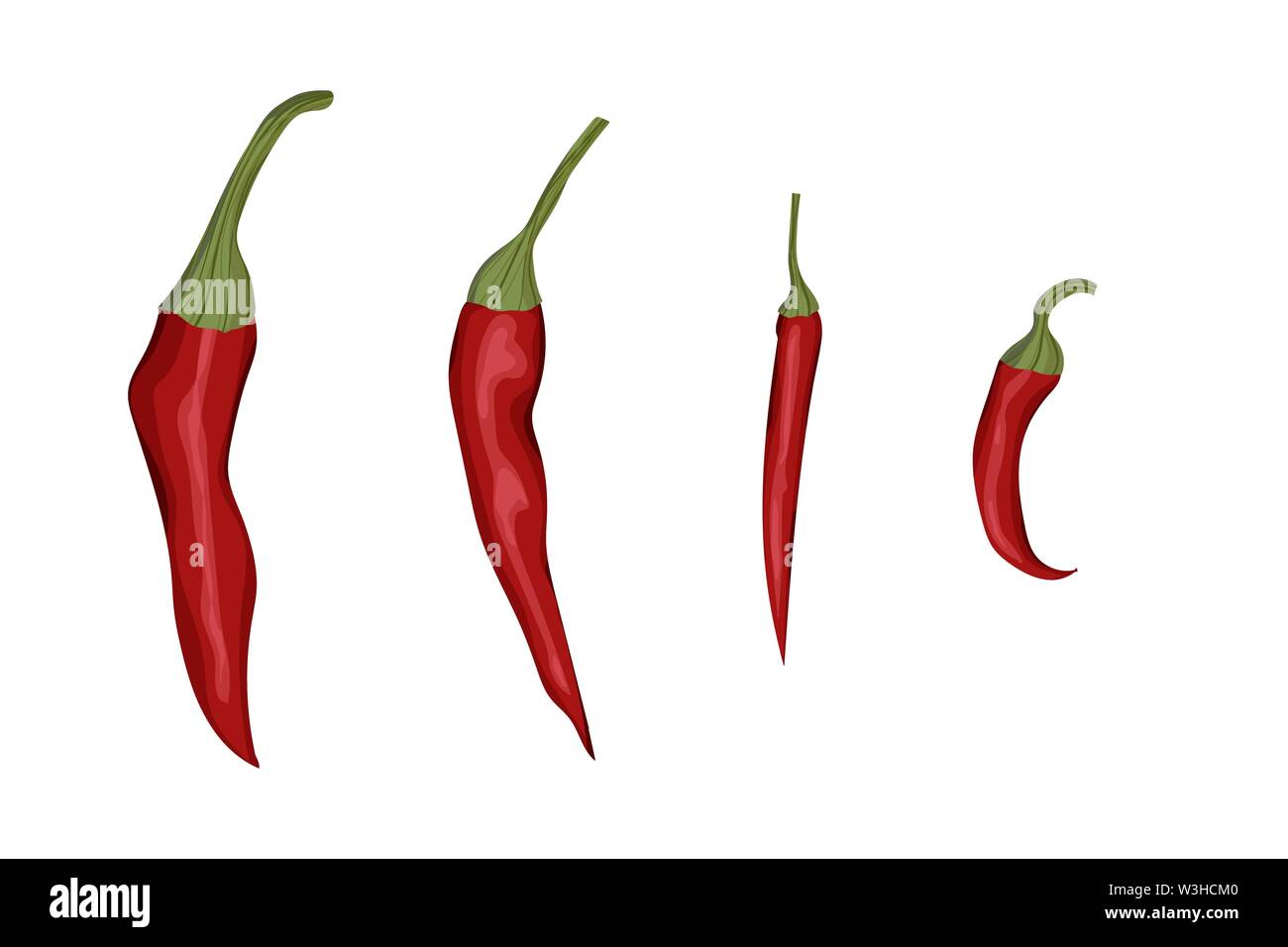 Red Chili. Vector Illustration. Hot Spice. Bio Gemüse. Stock Vektor