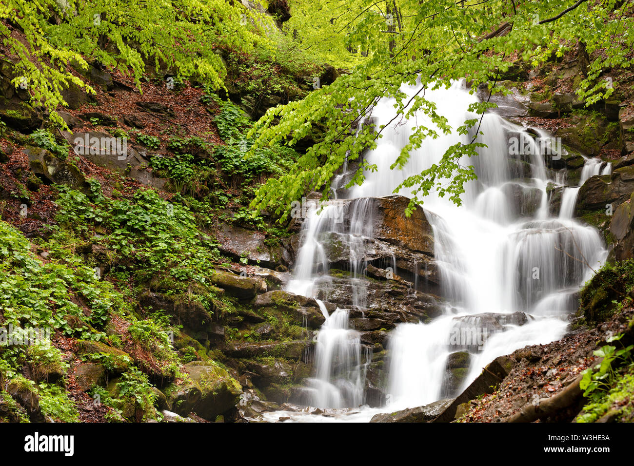 Die schnelle Strömung von Wasser stark von der Höhe der Karpaten vor dem Hintergrund der umliegenden grünen Frühling Laub. Stockfoto