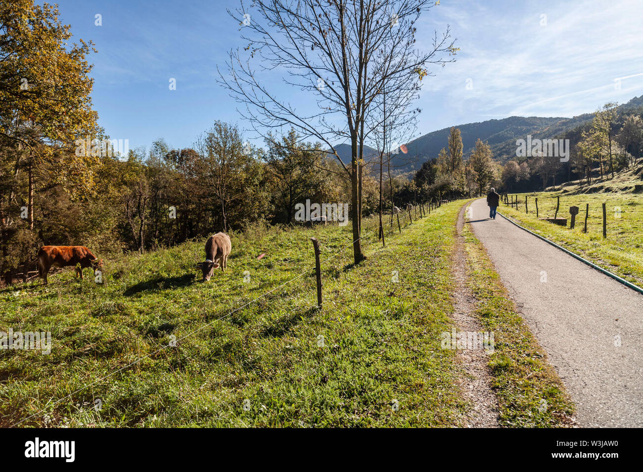 Ruta del Ferro, Eisen und Kohle Weg, alte Eisenbahn umgewandelt in Trail zu Fuß oder mit dem Fahrrad fahren. Dörfer von Sant Joan de les Abadesses, Ripoll, in Ripolle Stockfoto