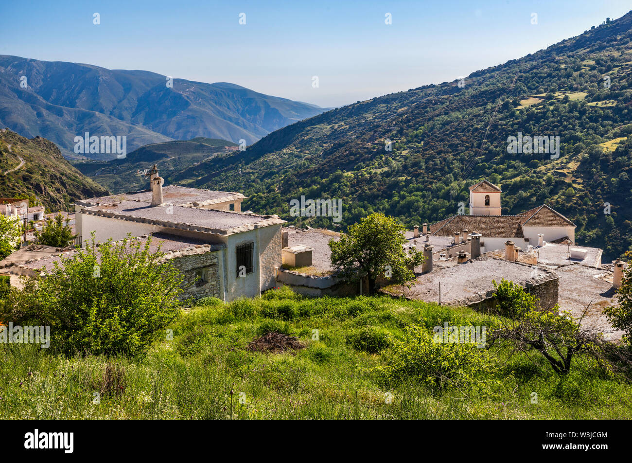 Terraos, traditionelle Häuser mit flachen Dächern, in Bubion, über Barranco de Poqueira Schlucht, Sierra Nevada, Las Alpujarras, Granada, Andalusien, Spanien Stockfoto