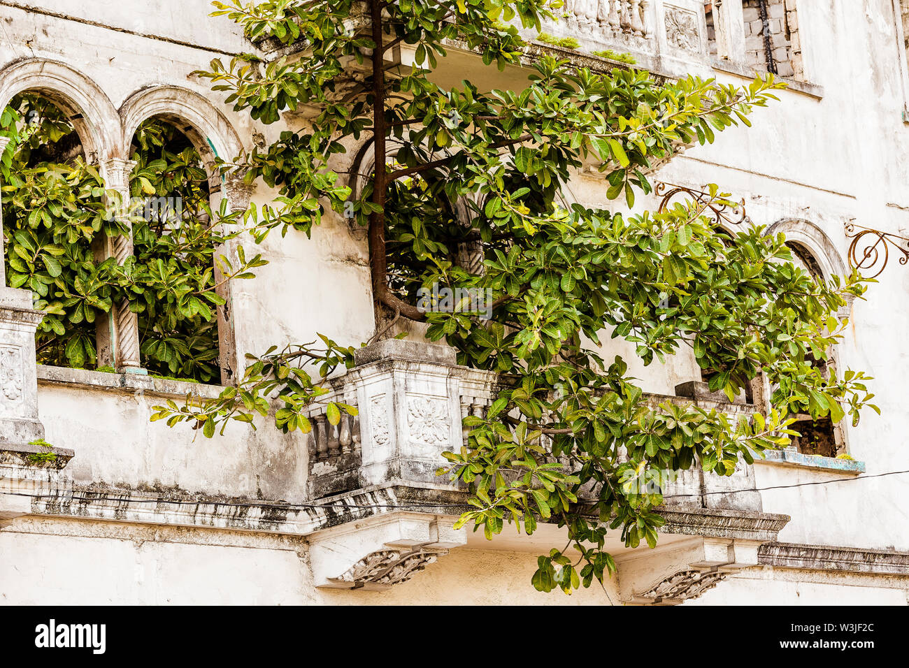 Verlorene Orte - verlassene Villa im Zentrum von Panama City Stockfoto