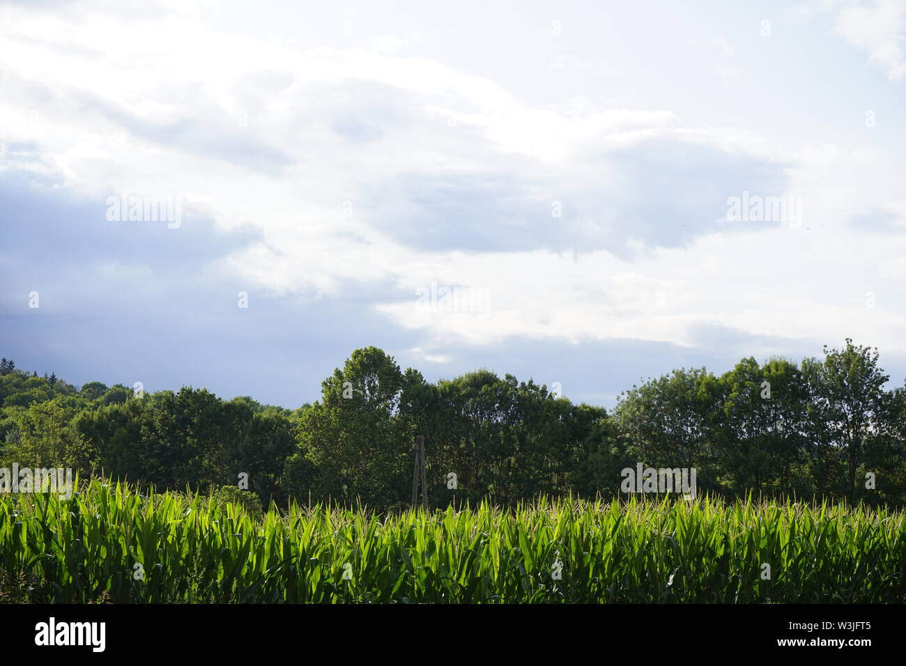 Budapest Ungarn Europa Sommer Edition 1. Stockfoto