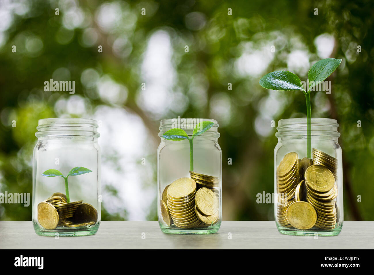 Geld sparen, Investition, Geld, das für die zukünftige, finanzielle Wealth Management Konzept. Ein Münzen in Glas und Schritt der wachsenden Baum Pflanze auf Stapel c Stockfoto