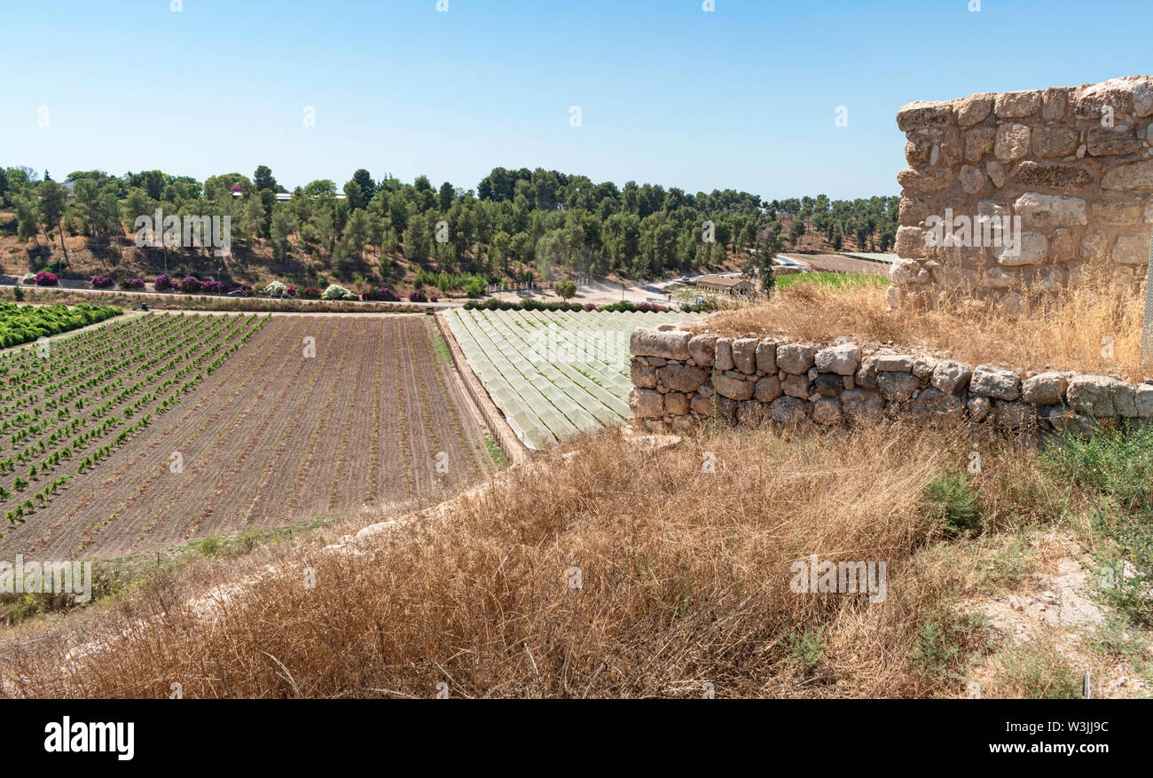 Eine Ansicht der Moshav lachisch Wald und Weinbergen aus dem Südwesten Turm der Tel. lackish archäologische Stätte im Zentrum von Israel Stockfoto