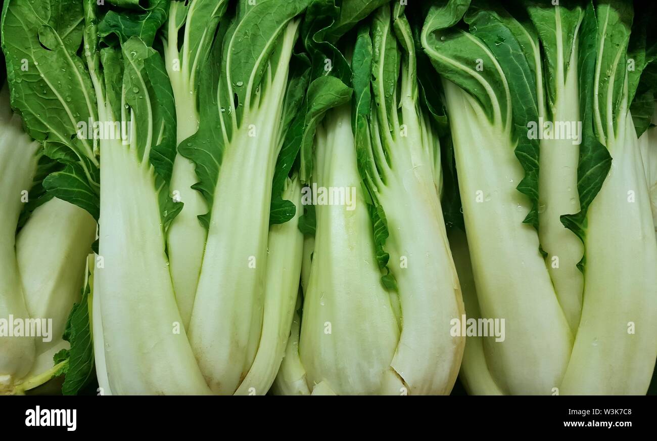 Eine Anzeige der frischen grünen Bok Choy Blattgemüse für Verkauf auf einem Regal. Es stammt aus Asien und ist beliebt in Kantonesische Küche. Stockfoto